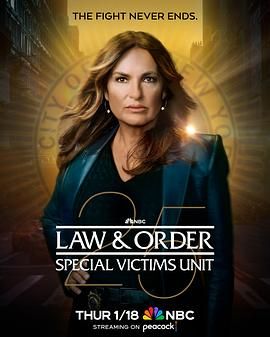 法律与秩序：特殊受害者 第二十五季 第2集